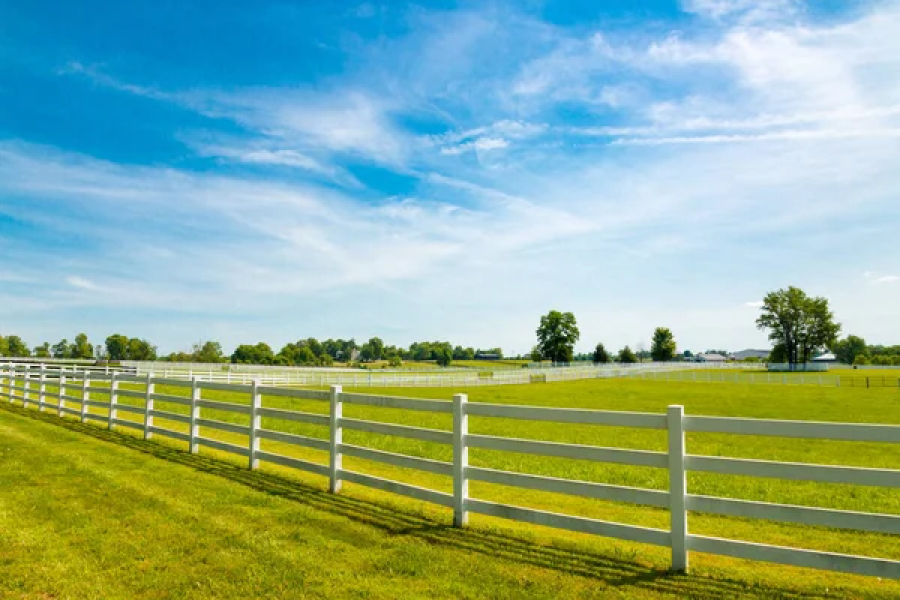 Зелена галявина