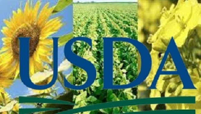USDA підвищив прогноз світового виробництва олійних культур, зокрема ріпаку в Австралії та соняшника в Україні й рф, що посилить тиск на ціни