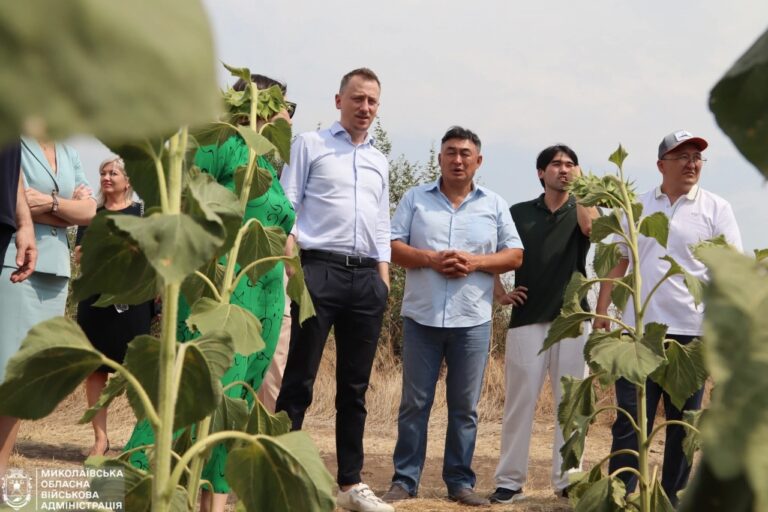 Були б гроші — був би полив: фермери на Миколаївщині втратили урожай через зупинку фінансування насосної станції